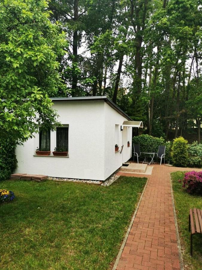 Ferienbungalow Im Igelbau Баабе Екстериор снимка